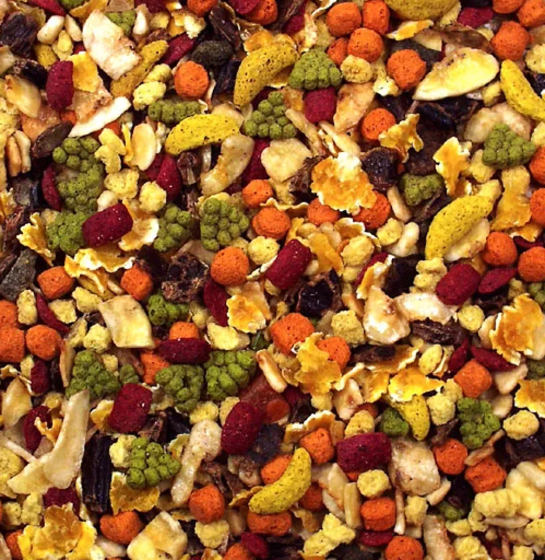 Clearance JR Frugtsalat 200 g Foder & Snack Til Gnavere & Kanin