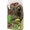 Discount JR Grainless PLUS Salvie/Mælkebøtte 100 g Foder & Snack Til Gnavere & Kanin