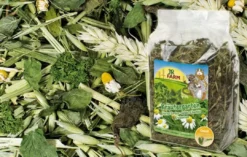 Best JR Krydderurtehave 100 g Foder & Snack Til Gnavere & Kanin
