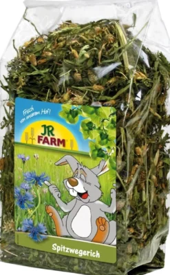 Best JR Vejbred 100 g Foder & Snack Til Gnavere & Kanin