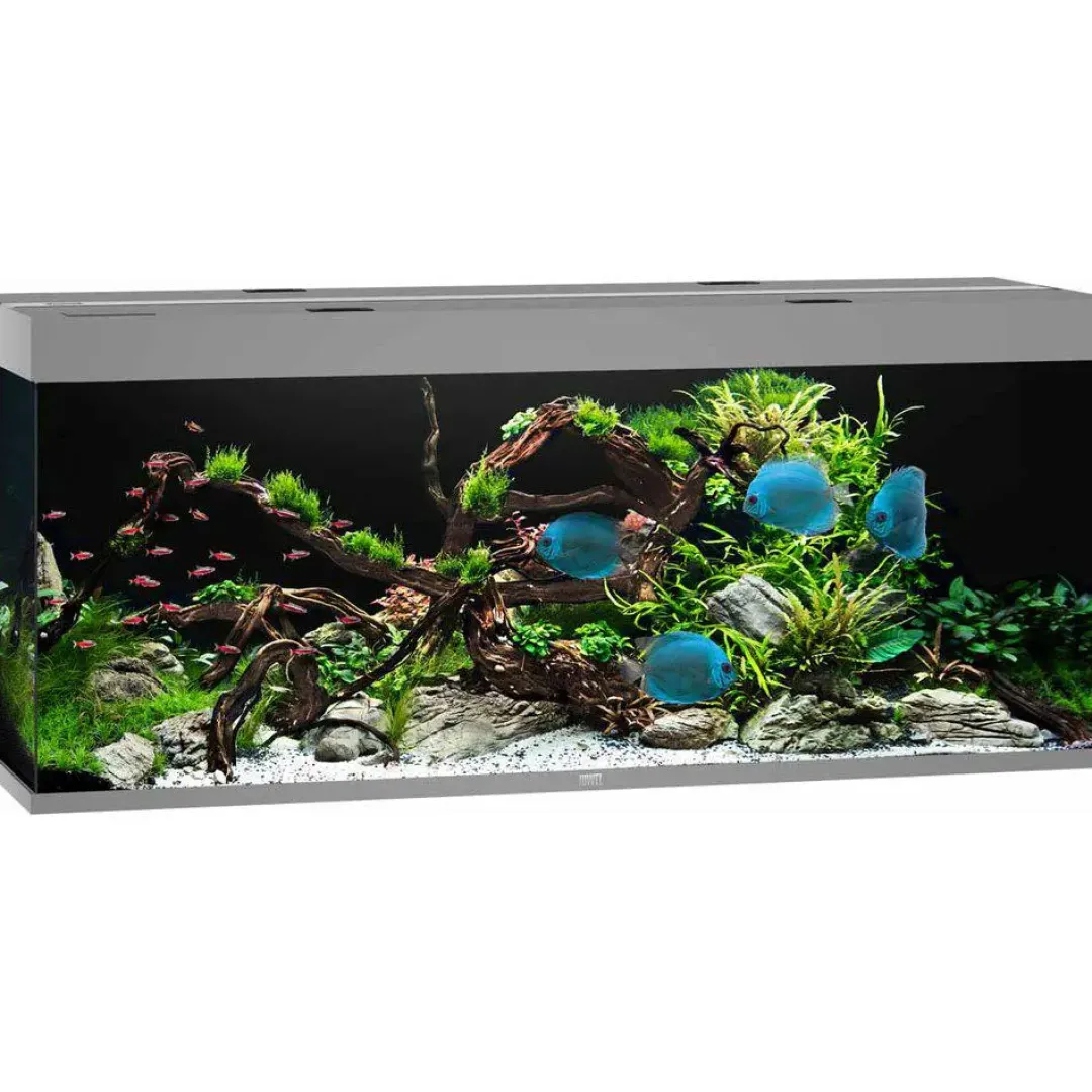 Outlet Led Rio 450 Grå 151x51x66 cm 450 L Akvarier