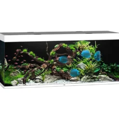 Discount Led Rio 450 Hvid 151x51x66 cm 450 L Akvarier