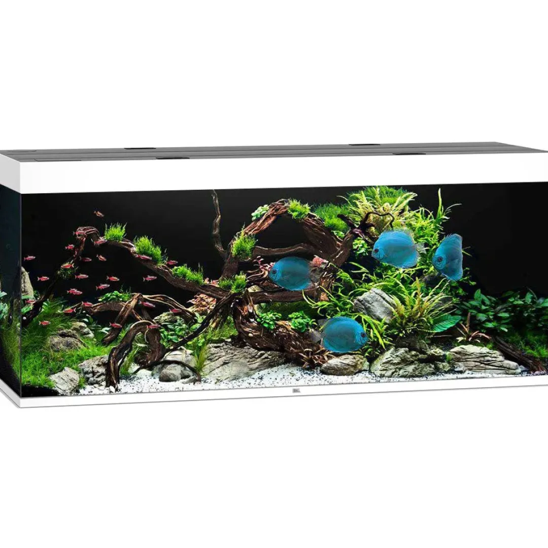 Discount Led Rio 450 Hvid 151x51x66 cm 450 L Akvarier