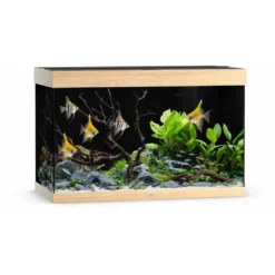 Discount Led Rio 290 Liter Eg Akvarier