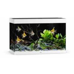 Hot Led Rio 290 Liter Hvid Akvarier