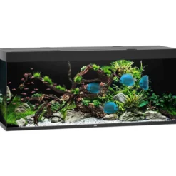 Sale Led Rio 450 Sort 151x51x66 cm 450 L Akvarier
