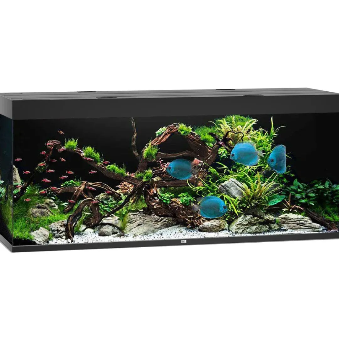 Sale Led Rio 450 Sort 151x51x66 cm 450 L Akvarier