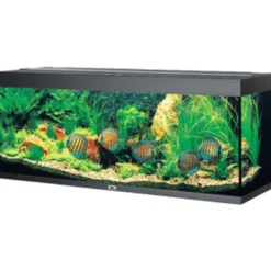 Sale Led Rio 450 Sort 151x51x66 cm 450 L Akvarier