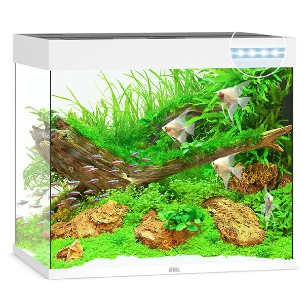 Sale Lido 200 Liter i Hvid 70x51x65 cm Akvarier