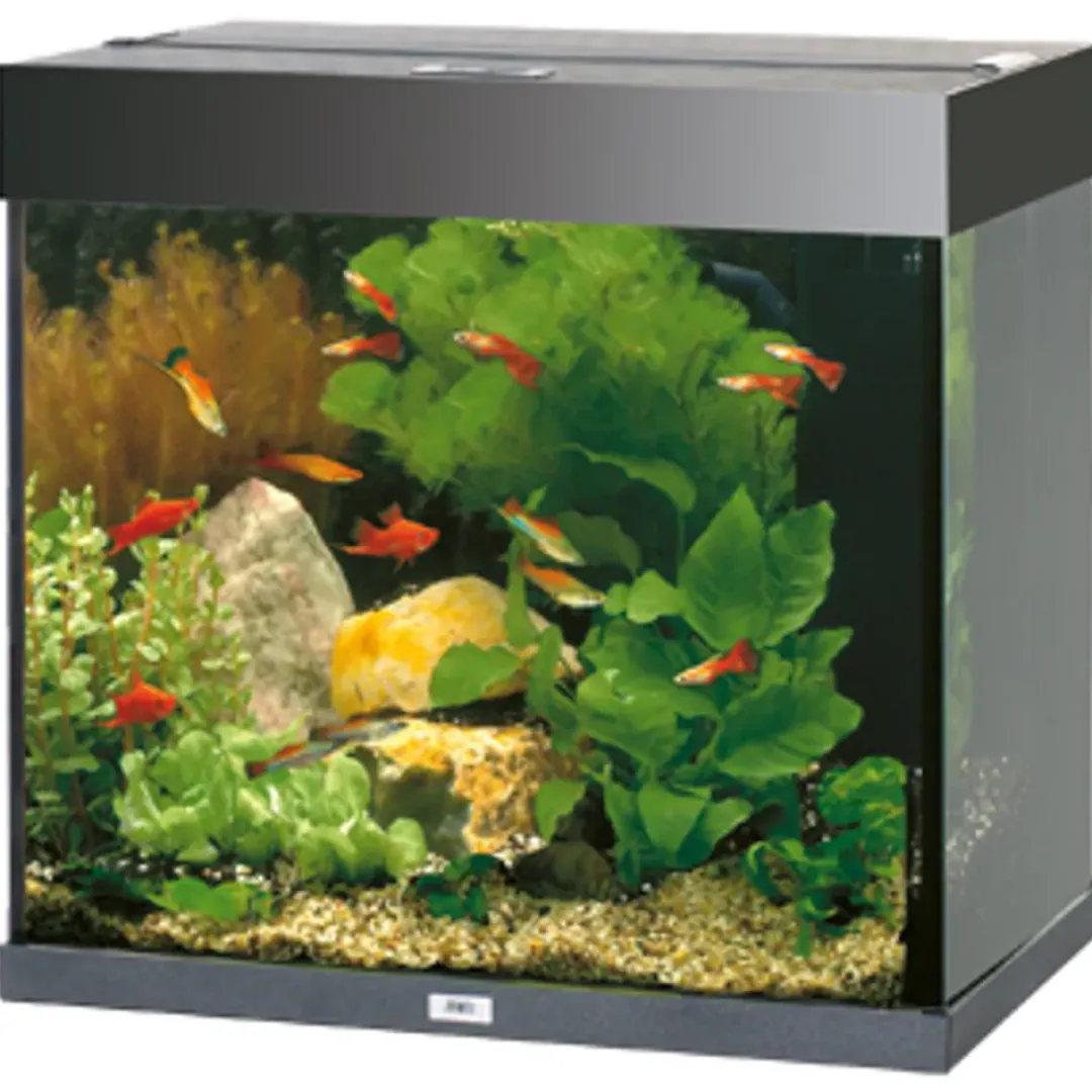 Best Lido 120 Liter Sort 61x41x58 cm Akvarier