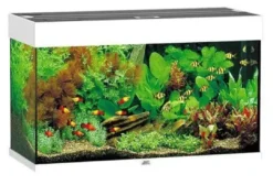 Discount Rio 125 Hvid Akvarier