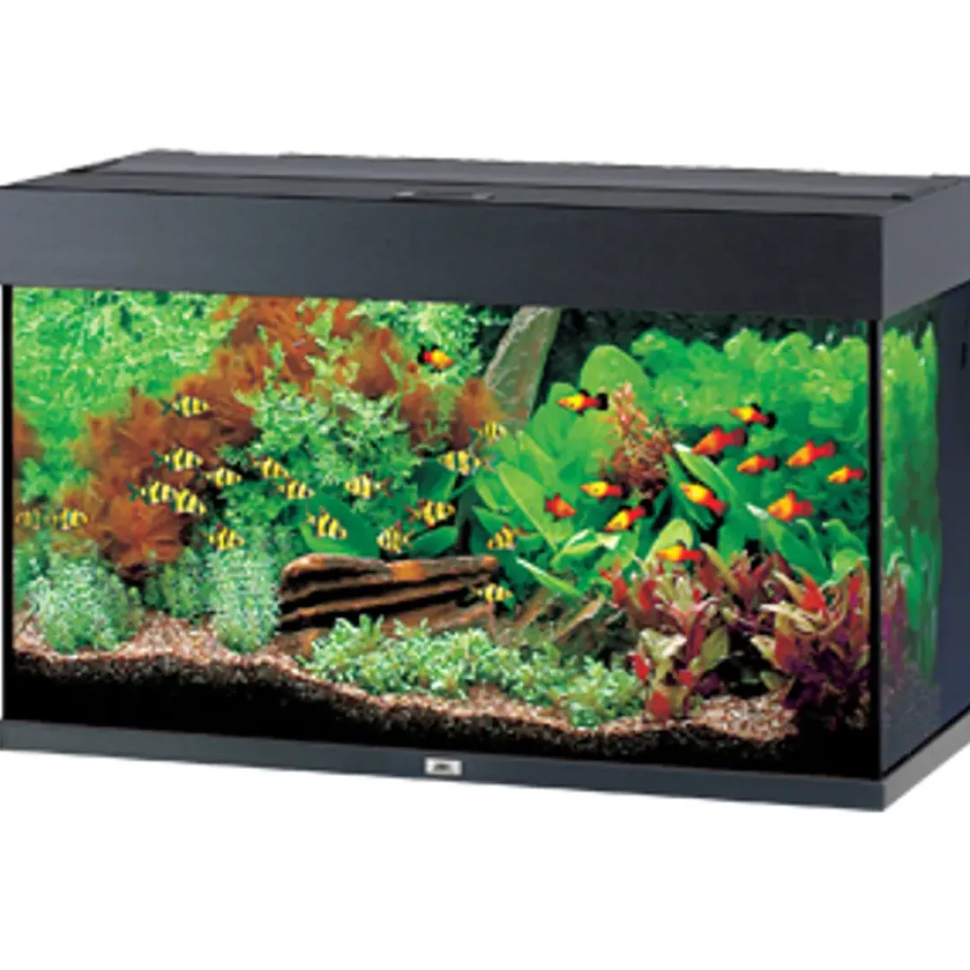 Best Rio 125 Sort Akvarier