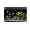 Online Juwel Aquarium LED Rio 290 Liter Sort Akvarier