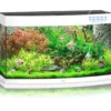 Outlet Juwel Aquarium VISION 180 Hvid Akvarier