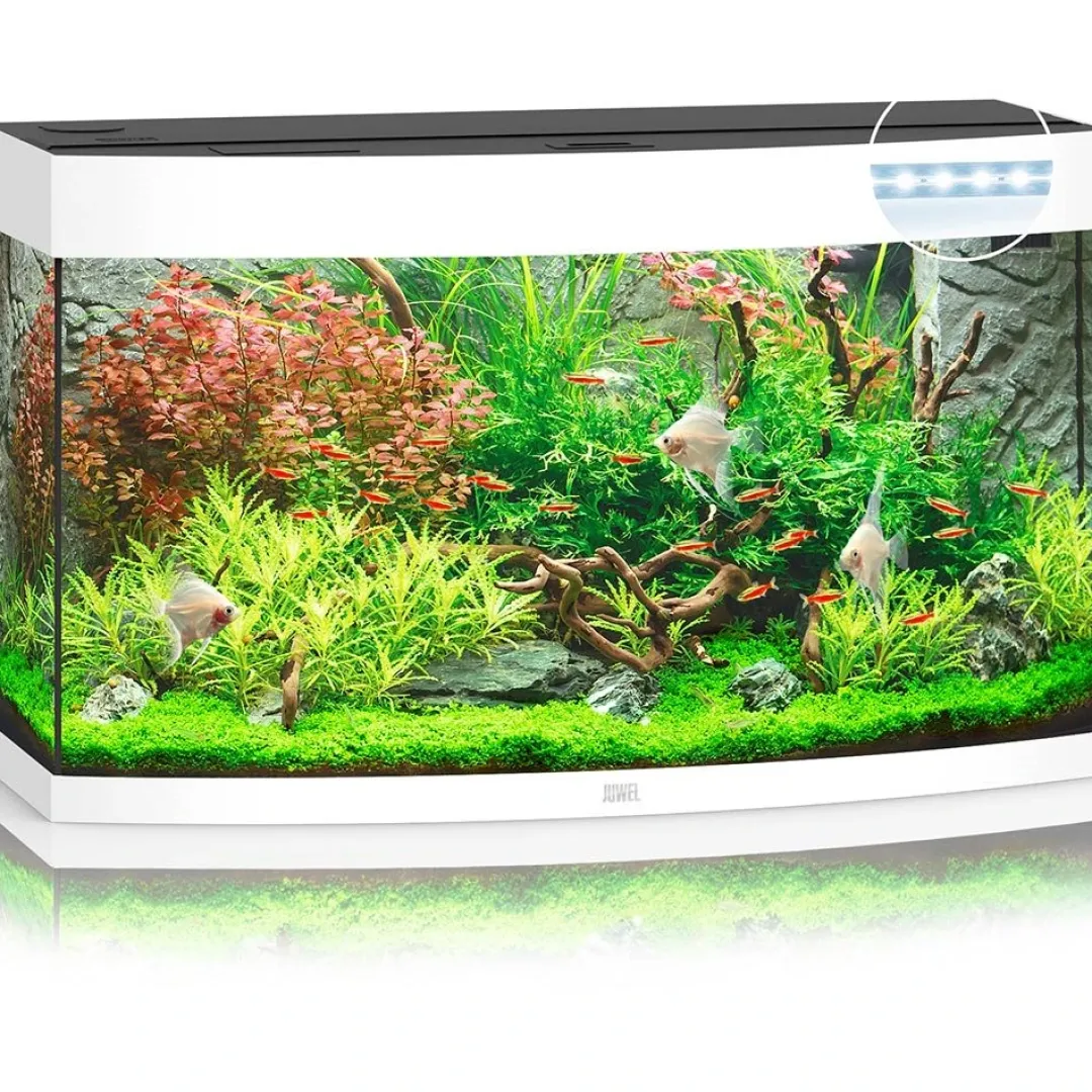 Outlet Juwel Aquarium VISION 180 Hvid Akvarier