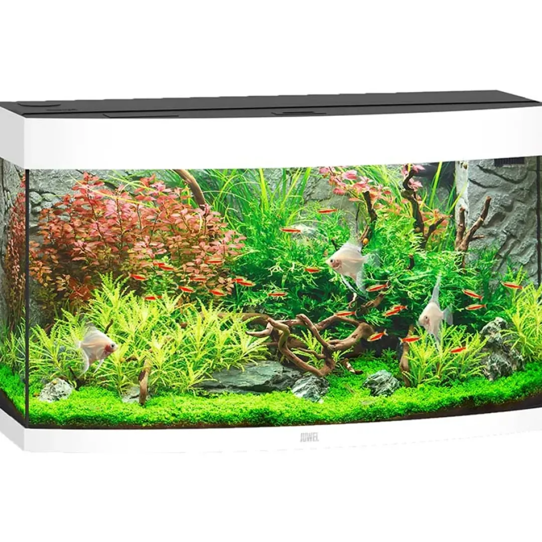 Outlet Juwel Aquarium VISION 180 Hvid Akvarier
