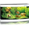 Best Juwel Aquarium VISION 260 LED Hvid Akvarier