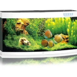 Best Juwel Aquarium VISION 260 LED Hvid Akvarier