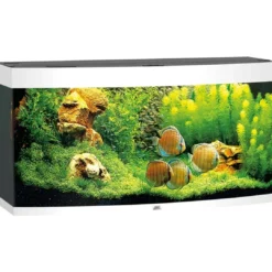Best Juwel Aquarium VISION 260 LED Hvid Akvarier