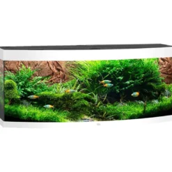 Clearance Juwel Aquarium VISION 450 LED Hvid Akvarier