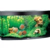 Hot Juwel Aquarium VISION 260 LED Sort Akvarier