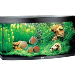 Hot Juwel Aquarium VISION 260 LED Sort Akvarier