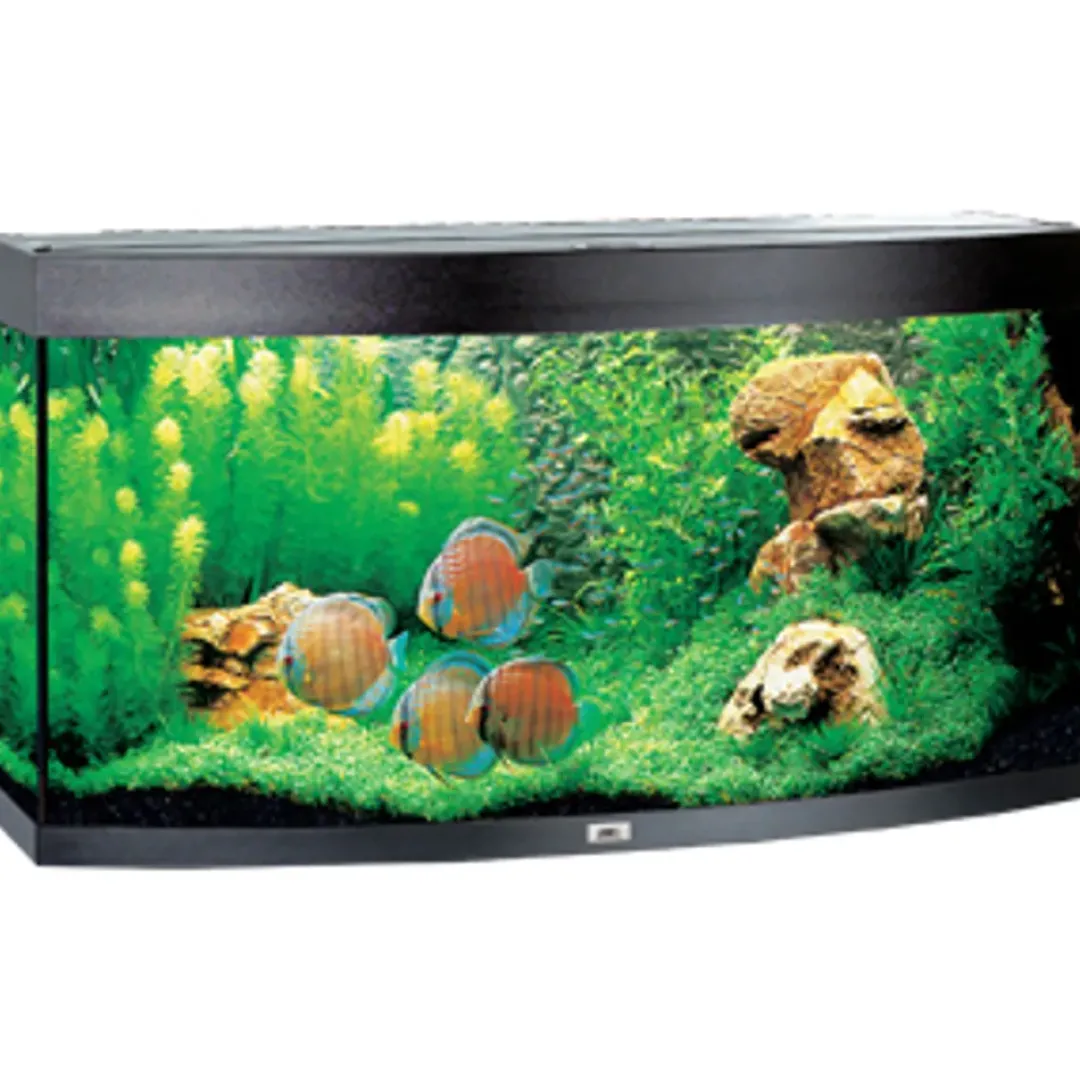 Hot Juwel Aquarium VISION 260 LED Sort Akvarier