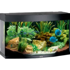 Online Juwel Aquarium VISION 180 Sort Akvarier
