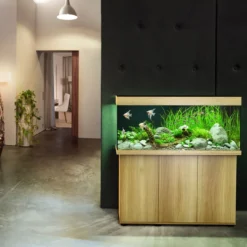 Discount Juwel Rio 240 L Eg 121x41x55 cm Akvarier
