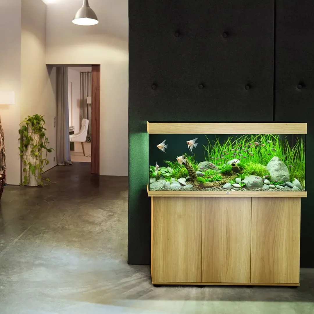 Discount Juwel Rio 240 L Eg 121x41x55 cm Akvarier