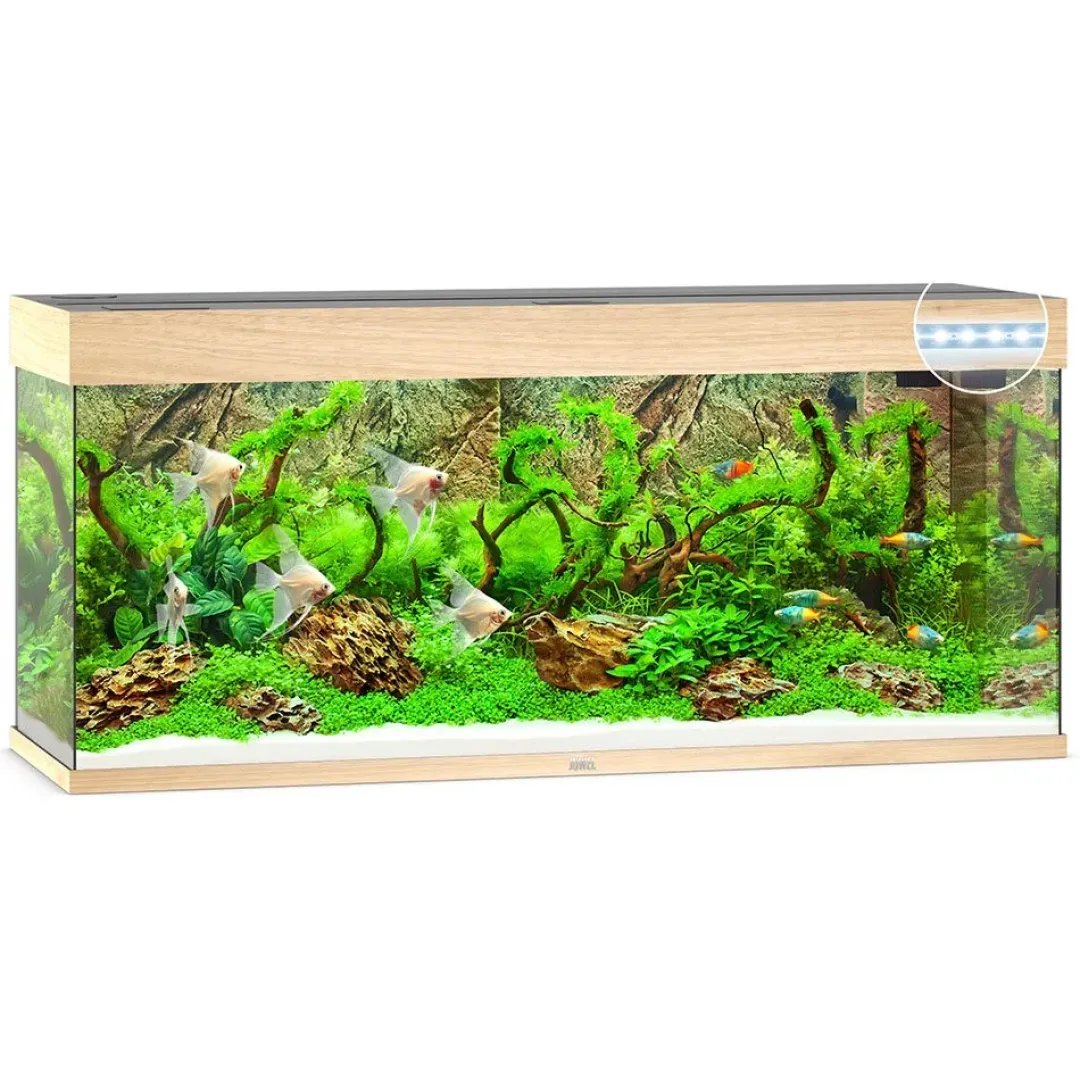 Discount Juwel Rio 240 L Eg 121x41x55 cm Akvarier