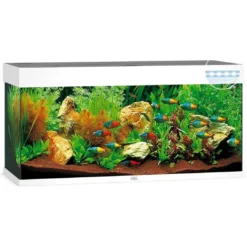 Discount Juwel Rio 240 L Hvid 121x41x55 cm Akvarier