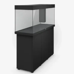 Online Juwel Rio 240 L Sort 121x41x55 cm Akvarier
