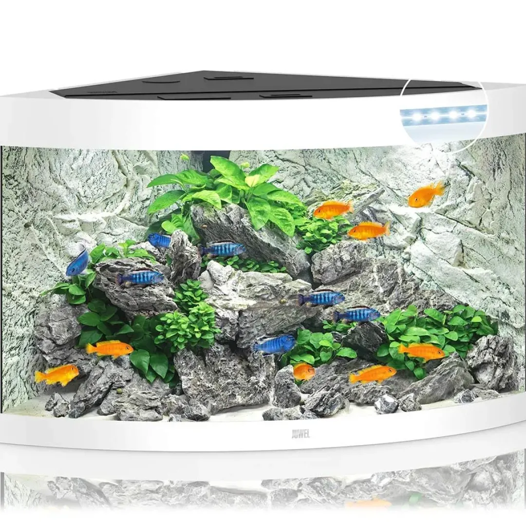 Clearance Juwel Trigon 350 Hvidt Akvarium Akvarier
