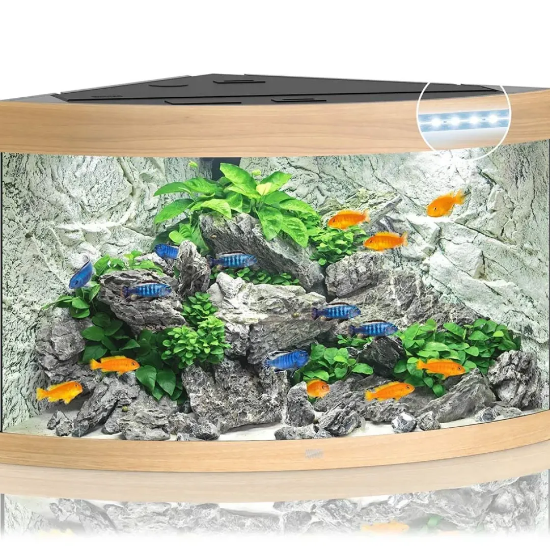 Discount Juwel Trigon 350 LED Eg Aquarium Akvarier