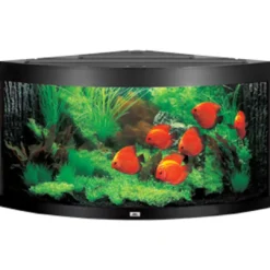Best Juwel Trigon 350 Sort Akvarium Akvarier