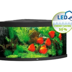Best Juwel Trigon 350 Sort Akvarium Akvarier