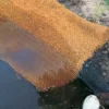 Kantmåtte Natur 50 x 1 meter Folie Og Filt Til Havedam