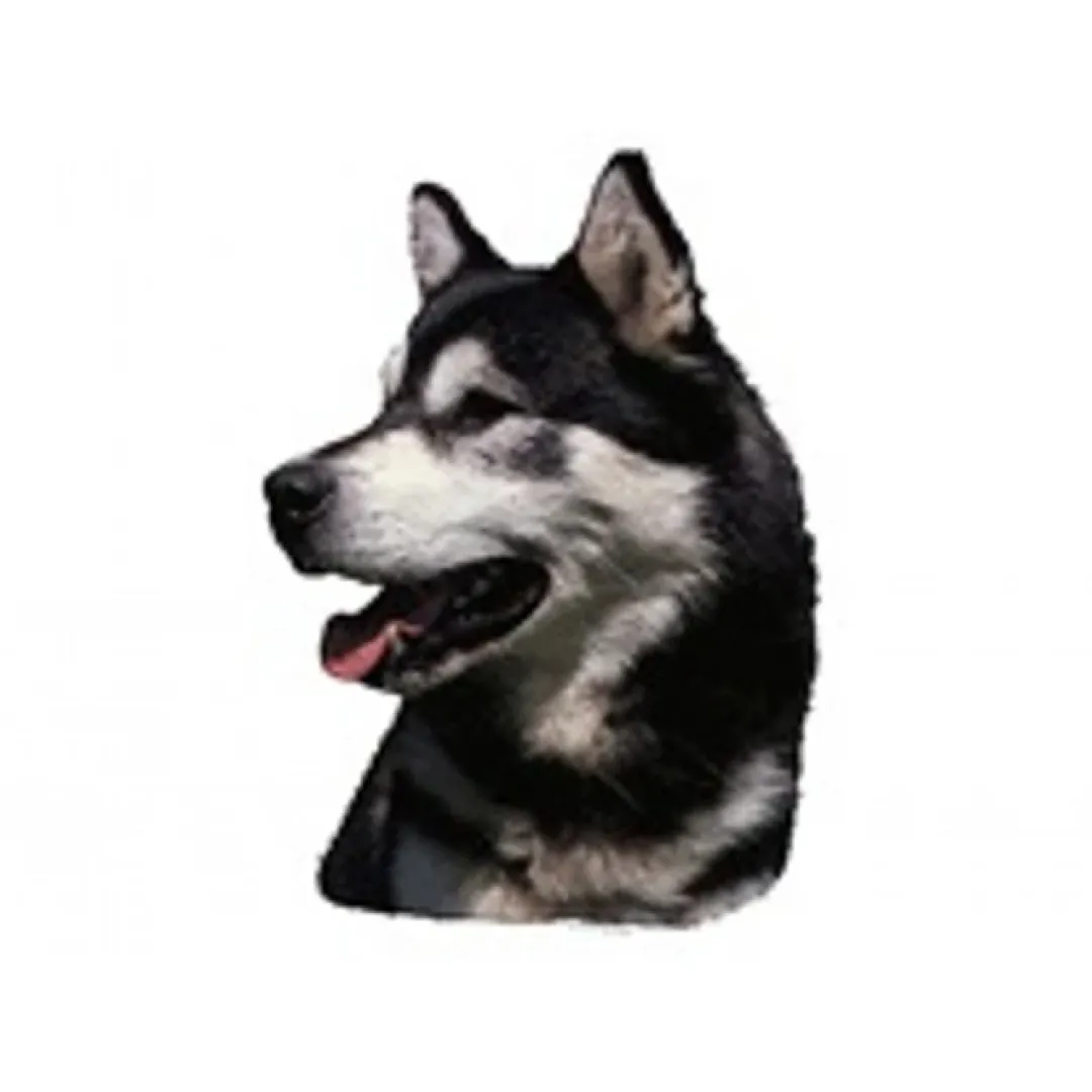 Sale Klistermærke af Alaskan Malamute Hoved Stor Hundetegn Til Hvalpe - Sikkerhed Og Tryghed Hvis Hvalpen Løber Væk|Hundetegn Og Smykker Med Stil Og Sikkerhed