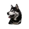 Sale Klistermærke af Alaskan Malamute Hoved Mini Hundetegn Til Hvalpe - Sikkerhed Og Tryghed Hvis Hvalpen Løber Væk|Hundetegn Og Smykker Med Stil Og Sikkerhed