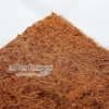 Online Kokosfibre baggrund 30 x 30 cm 1 cm Dekoration Til Terrarier