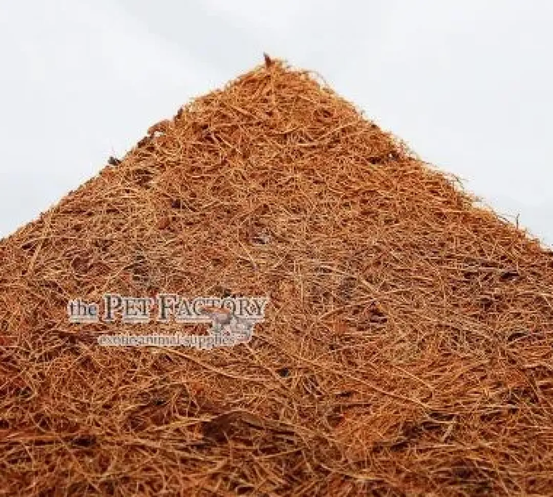 Online Kokosfibre baggrund 30 x 30 cm 1 cm Dekoration Til Terrarier