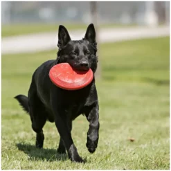 Clearance Classic Flyer frisbee rød S Ø18 cm Hundelegetøj Til Alle Hunde Leg Og Aktivering Året Rundt|Legetøj Til Hvalpe - Sjov Leg, Aktivering Og Tryghed Fra Første Dag