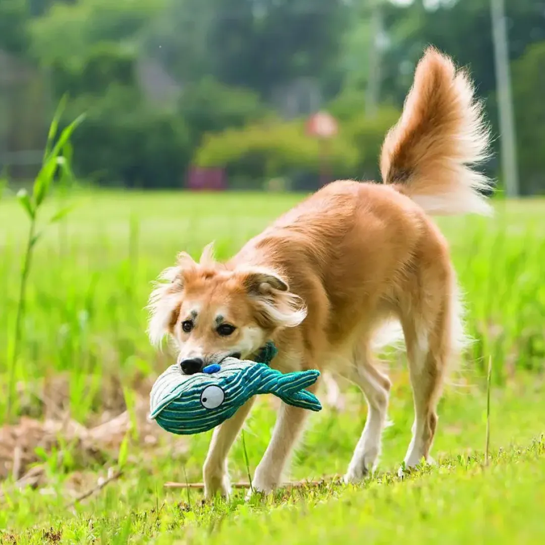 New CuteSeas Blæksprutte Large - bamse til hunde Hundelegetøj Til Alle Hunde Leg Og Aktivering Året Rundt|Legetøj Til Hvalpe - Sjov Leg, Aktivering Og Tryghed Fra Første Dag