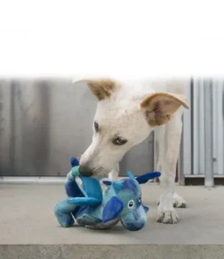Sale Dragon Knots Hundelegetøj - sjov bamse med reb Hundelegetøj Til Alle Hunde Leg Og Aktivering Året Rundt|Legetøj Til Hvalpe - Sjov Leg, Aktivering Og Tryghed Fra Første Dag