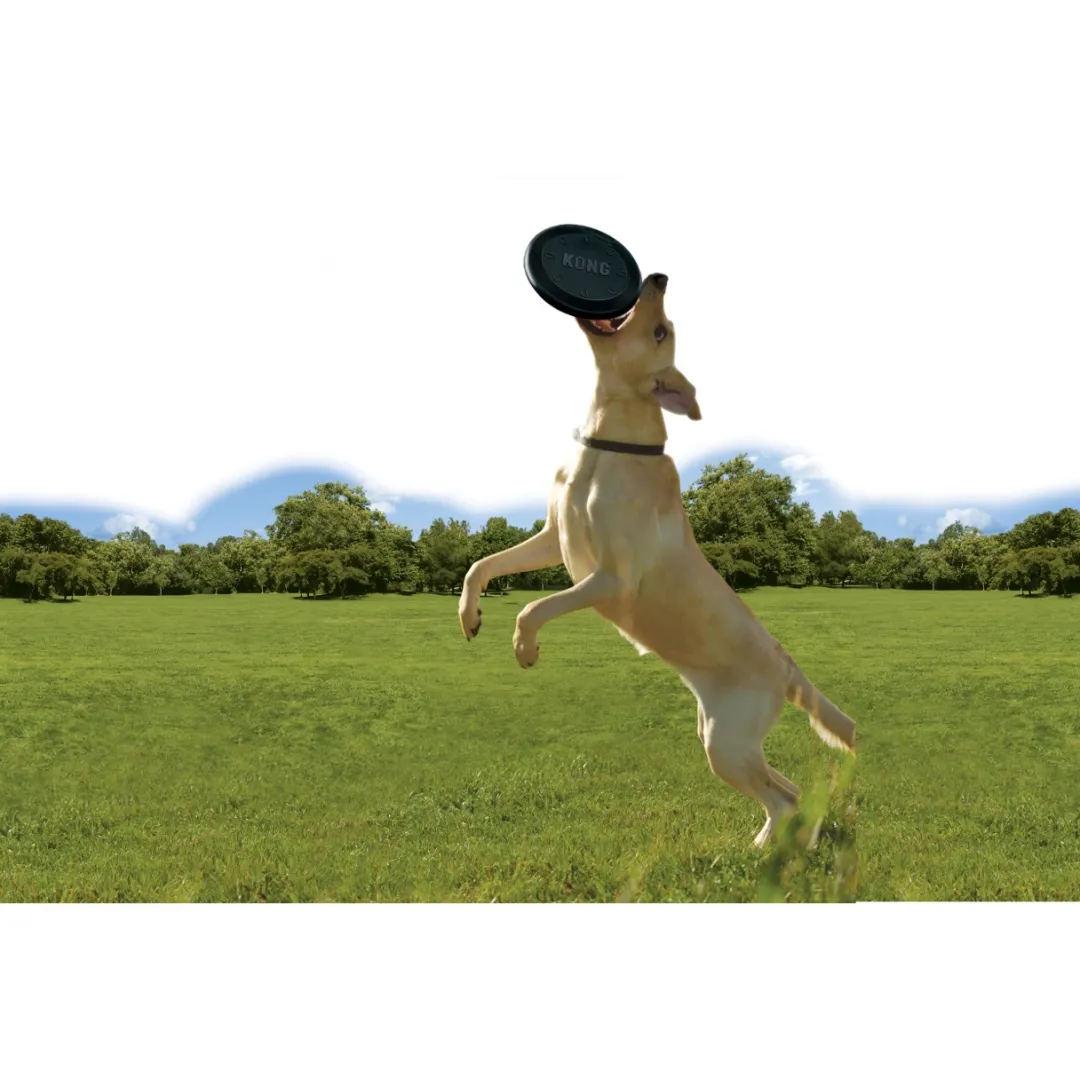 Online Extreme Frisbee sort - ekstra slidstærk frisbee i naturgummi Hundelegetøj Til Alle Hunde Leg Og Aktivering Året Rundt|Legetøj Til Hvalpe - Sjov Leg, Aktivering Og Tryghed Fra Første Dag