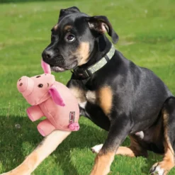 Best Hundebamse Phatz Gris Small - bamse til hunde Hundelegetøj Til Alle Hunde Leg Og Aktivering Året Rundt|Legetøj Til Hvalpe - Sjov Leg, Aktivering Og Tryghed Fra Første Dag