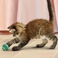 Sale Kattelegetøj Active Tennisbolde med klokker Ø4 cm Kattelegetøj