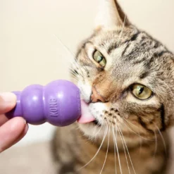 Online Kattelegetøj Kitty 6 cm Killingelegetøj - Sjov, Træning Og Aktivering For Killinger|Kattelegetøj