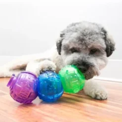 Sale Lock it Small - snackbold til små hunde Hundelegetøj Til Alle Hunde Leg Og Aktivering Året Rundt|Legetøj Til Hvalpe - Sjov Leg, Aktivering Og Tryghed Fra Første Dag